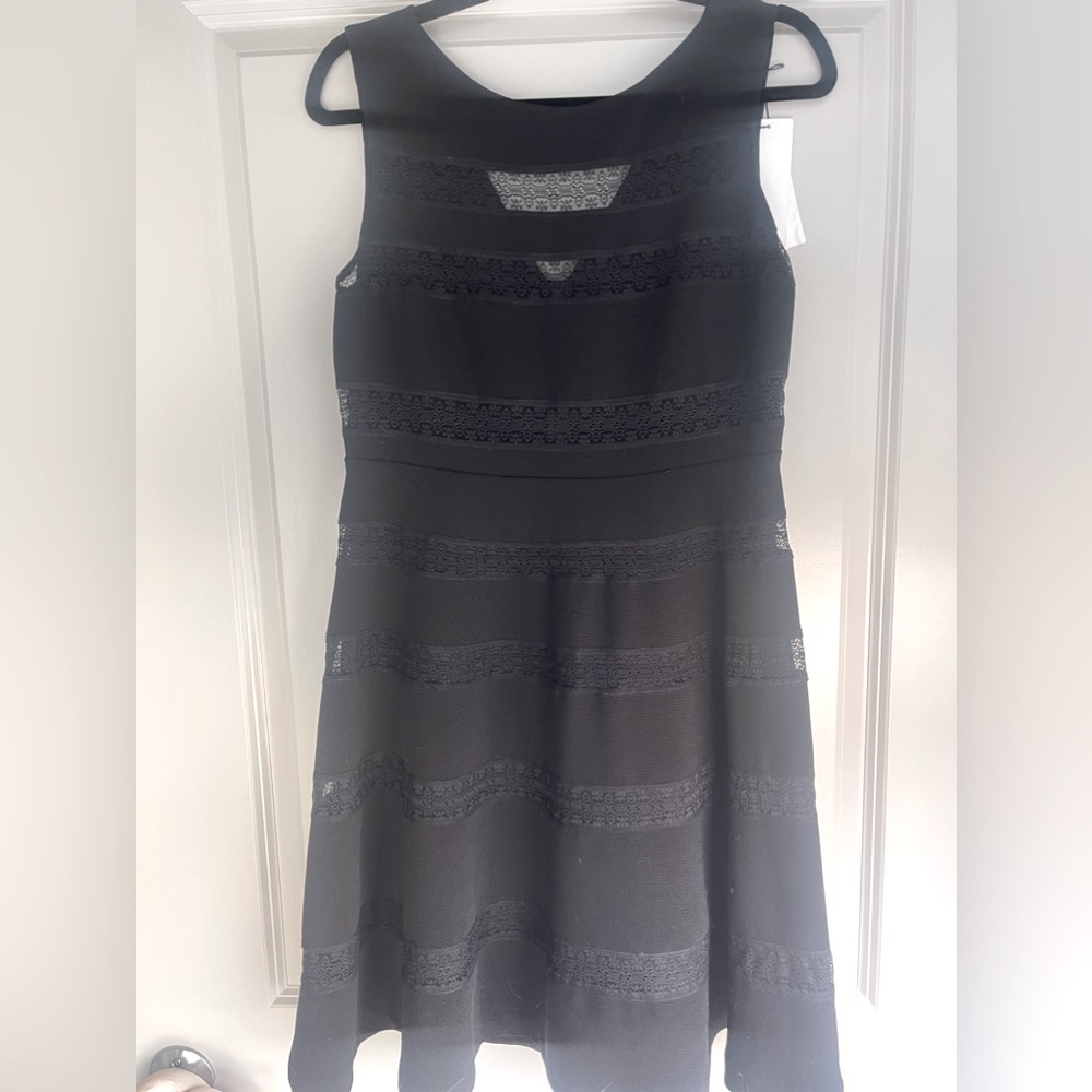 Black Lace Sandro Dress